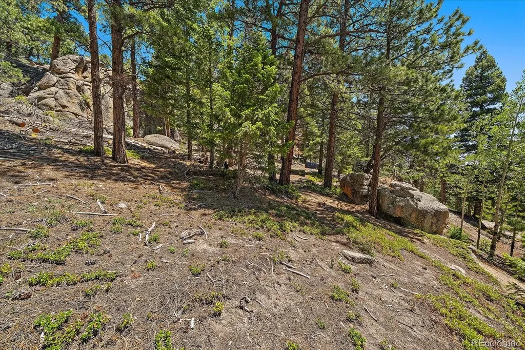 0 Skunk Alley Evergreen CO 80439