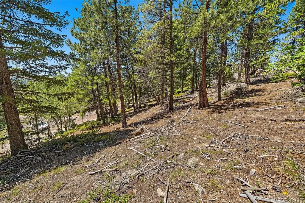 0 Skunk Alley Evergreen CO 80439