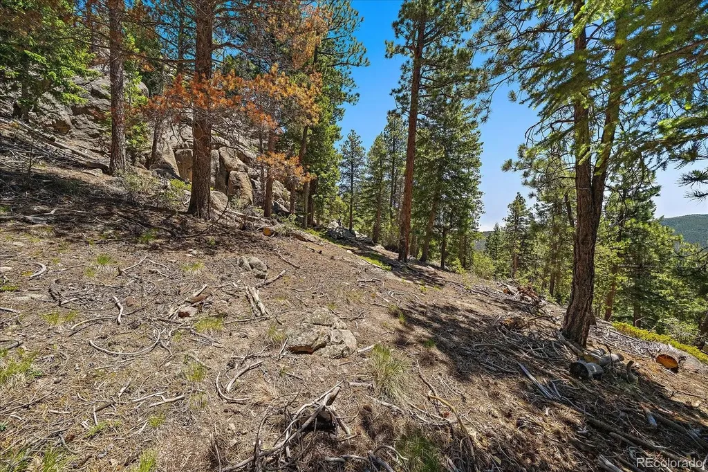 0 Skunk Alley Evergreen CO 80439