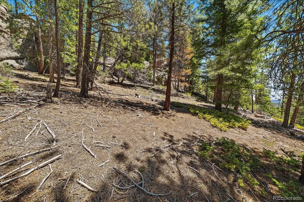 0 Skunk Alley Evergreen CO 80439