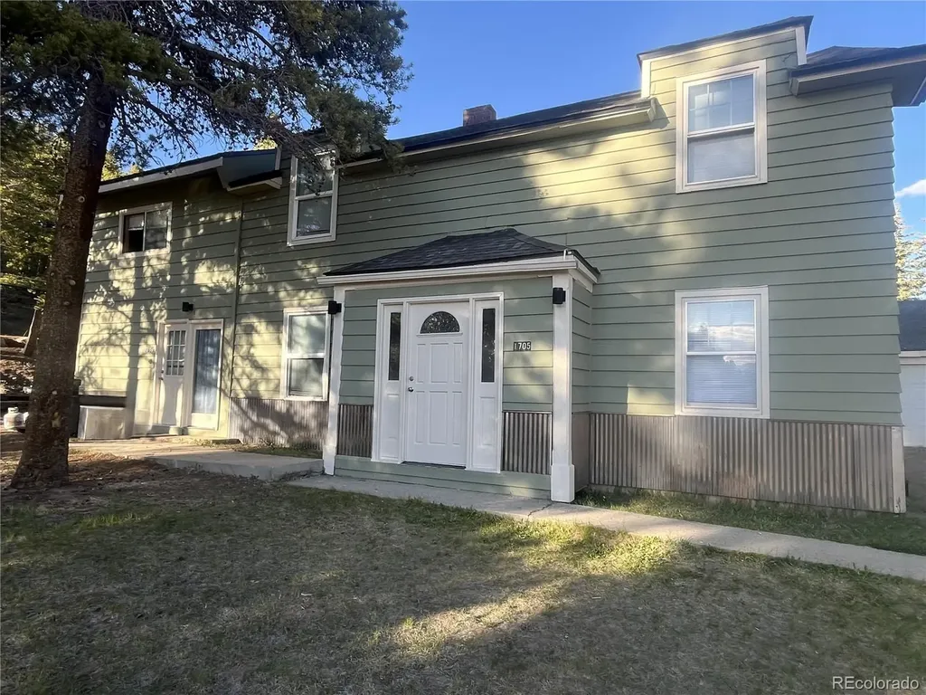 1705 Delane Street Leadville CO 80461
