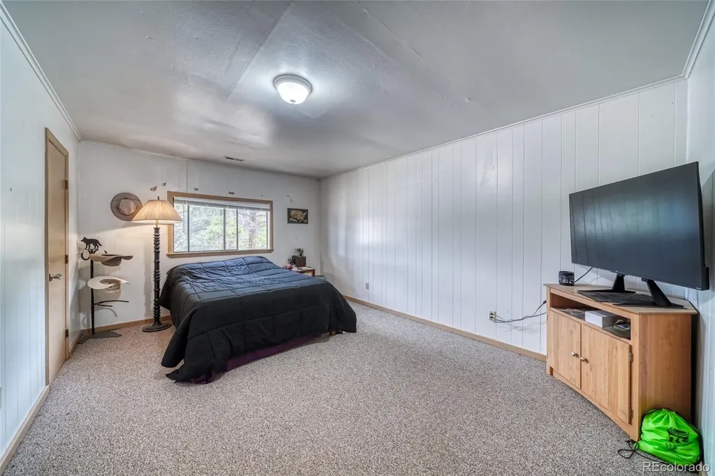 1705 Delane Street Leadville CO 80461