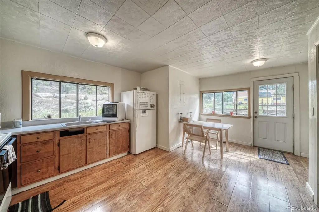 1705 Delane Street Leadville CO 80461