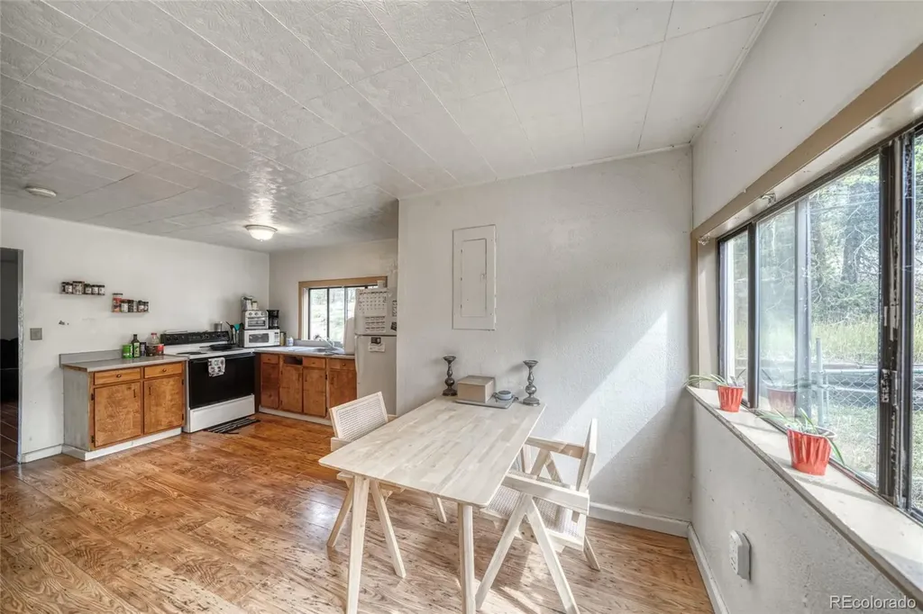 1705 Delane Street Leadville CO 80461