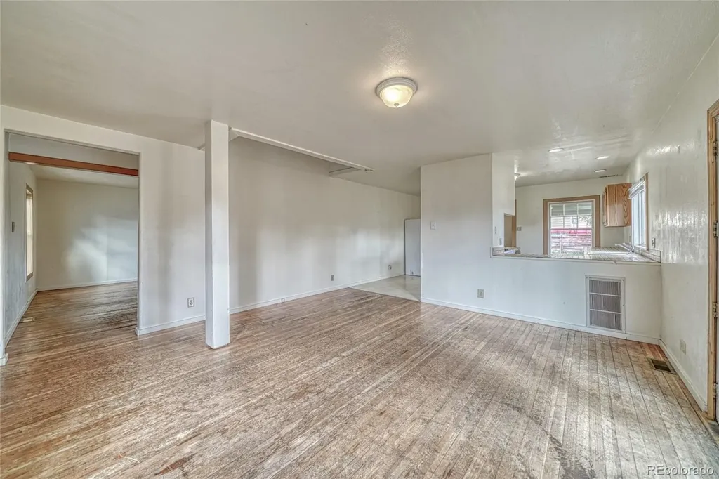 1705 Delane Street Leadville CO 80461