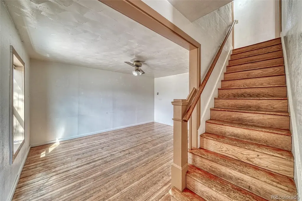 1705 Delane Street Leadville CO 80461