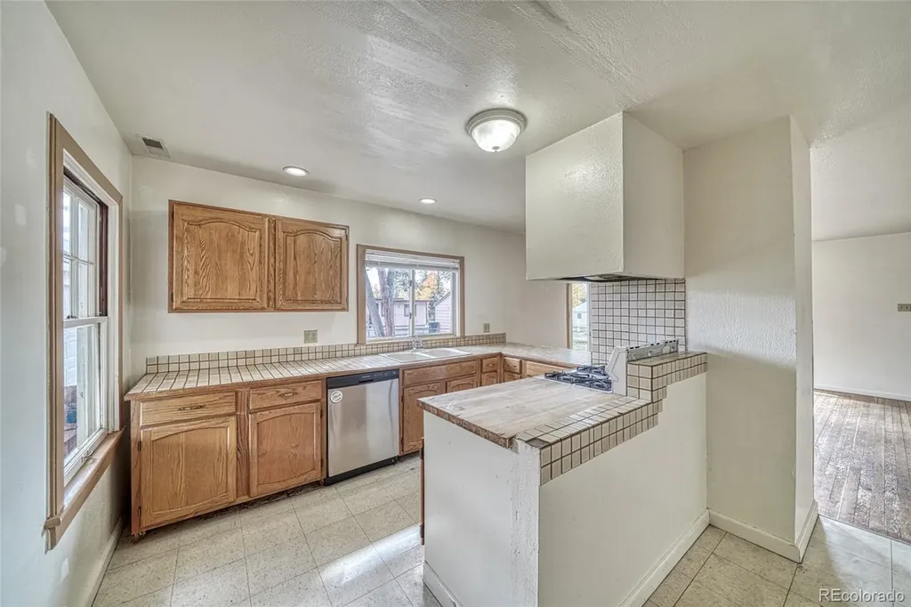 1705 Delane Street Leadville CO 80461