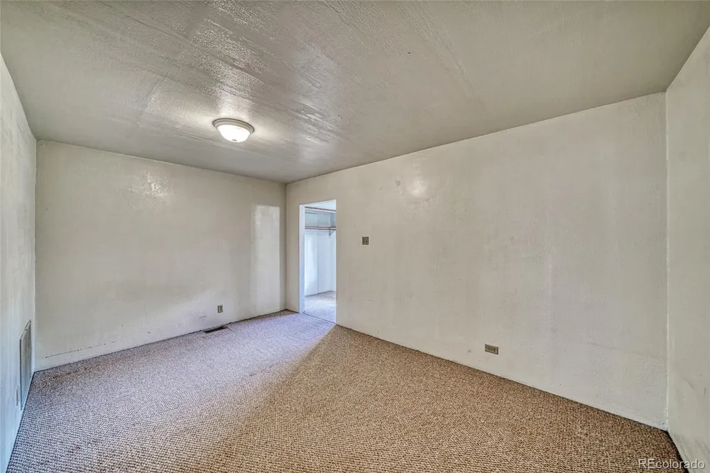 1705 Delane Street Leadville CO 80461