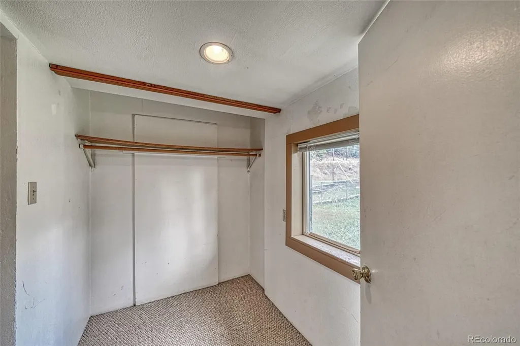 1705 Delane Street Leadville CO 80461
