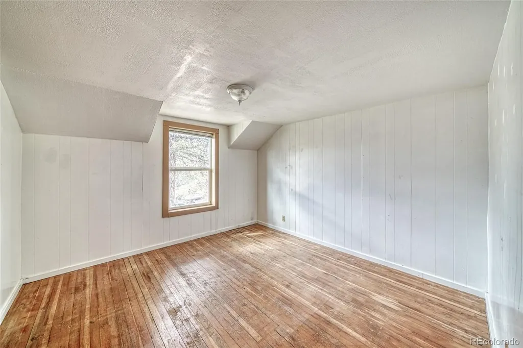 1705 Delane Street Leadville CO 80461