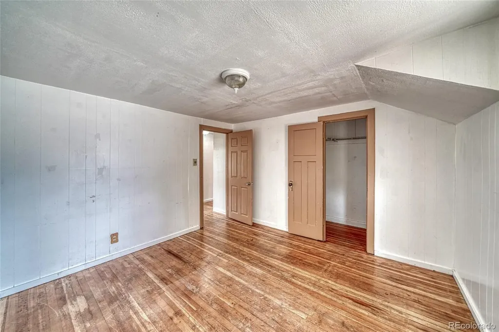 1705 Delane Street Leadville CO 80461