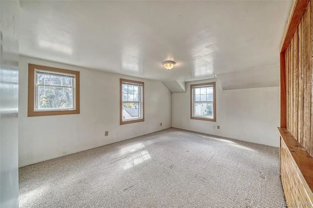 1705 Delane Street Leadville CO 80461