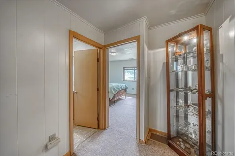 1705 Delane Street Leadville CO 80461