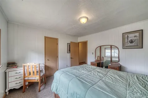 1705 Delane Street Leadville CO 80461