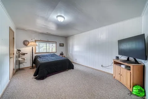 1705 Delane Street Leadville CO 80461
