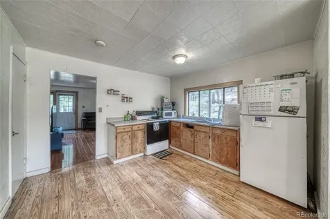 1705 Delane Street Leadville CO 80461