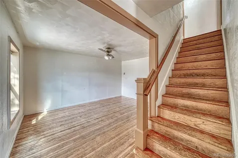 1705 Delane Street Leadville CO 80461