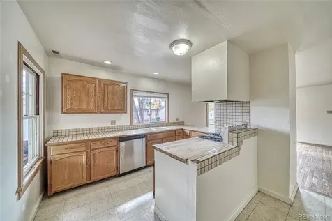 1705 Delane Street Leadville CO 80461