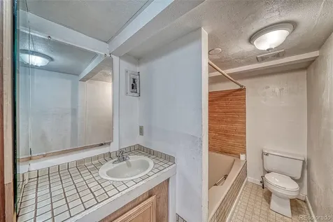 1705 Delane Street Leadville CO 80461