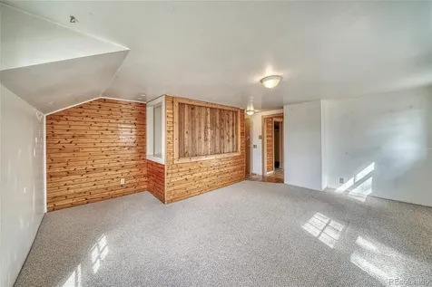 1705 Delane Street Leadville CO 80461