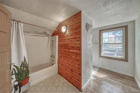 1705 Delane Street Leadville CO 80461