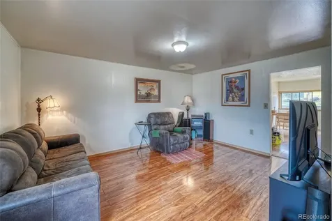 1705 Delane Street Leadville CO 80461