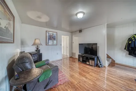 1705 Delane Street Leadville CO 80461