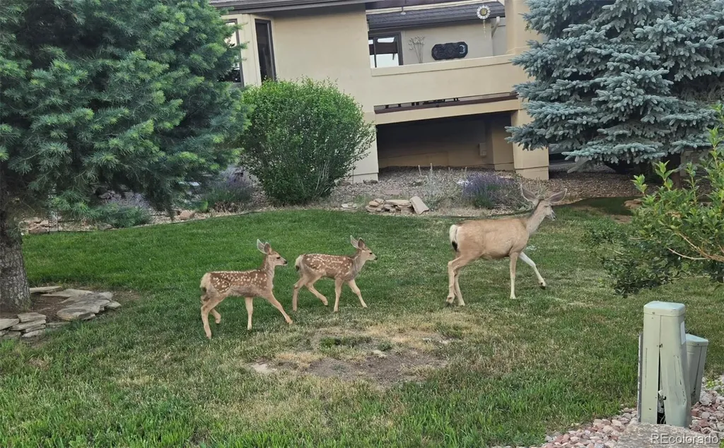 6324 Willow Broom Trail Littleton CO 80125