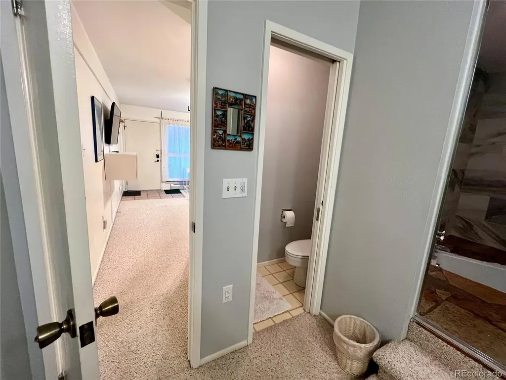 244 Lodgepole Street Dillon CO 80435