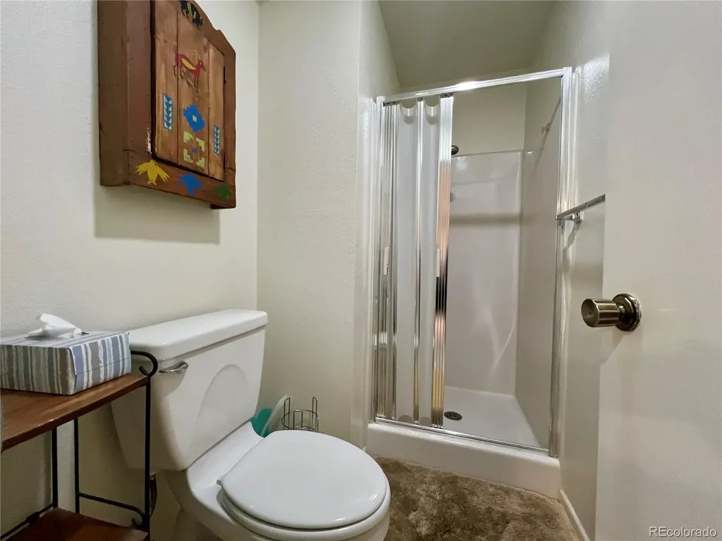 244 Lodgepole Street Dillon CO 80435