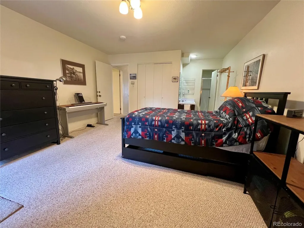 244 Lodgepole Street Dillon CO 80435