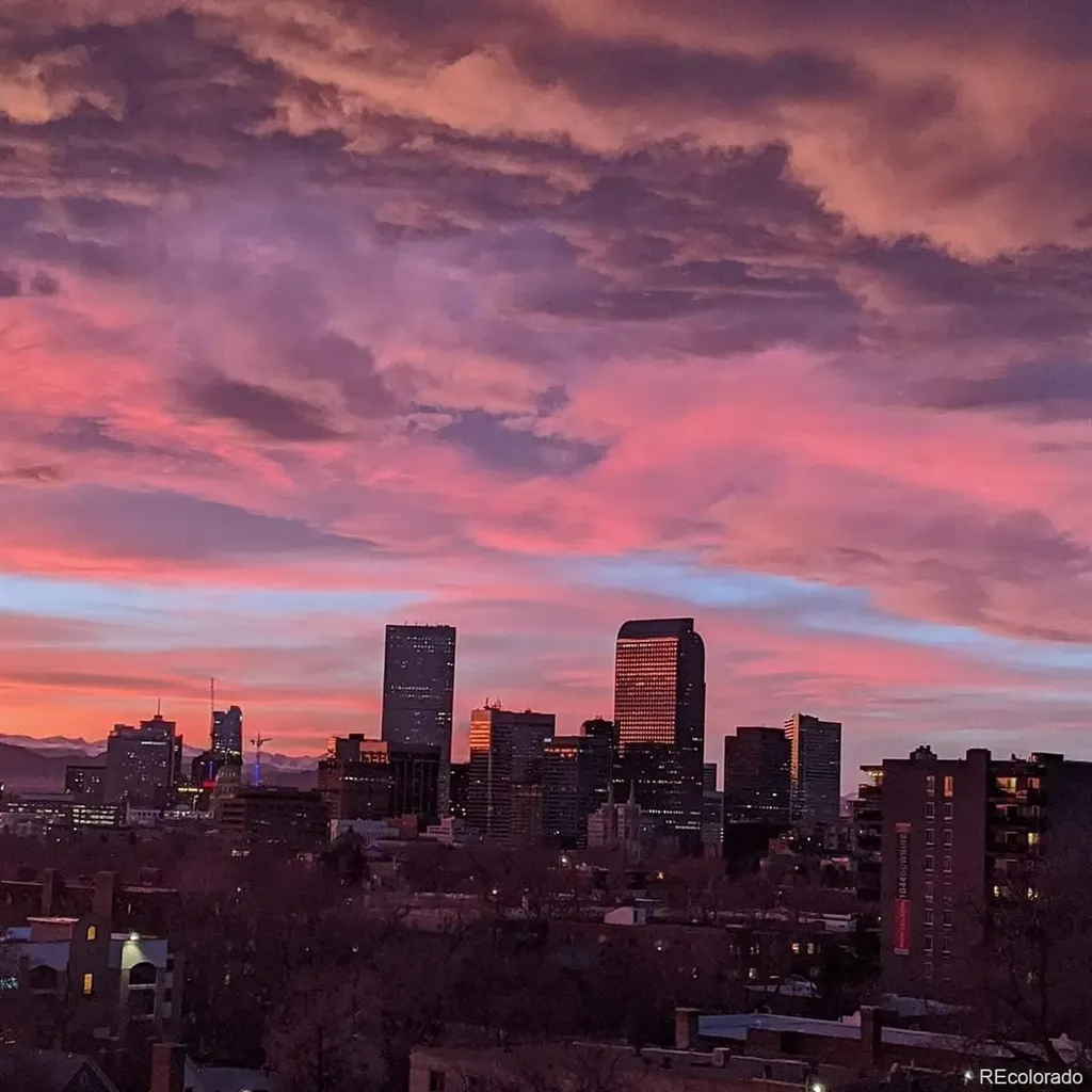 909 N Lafayette Street Denver CO 80218