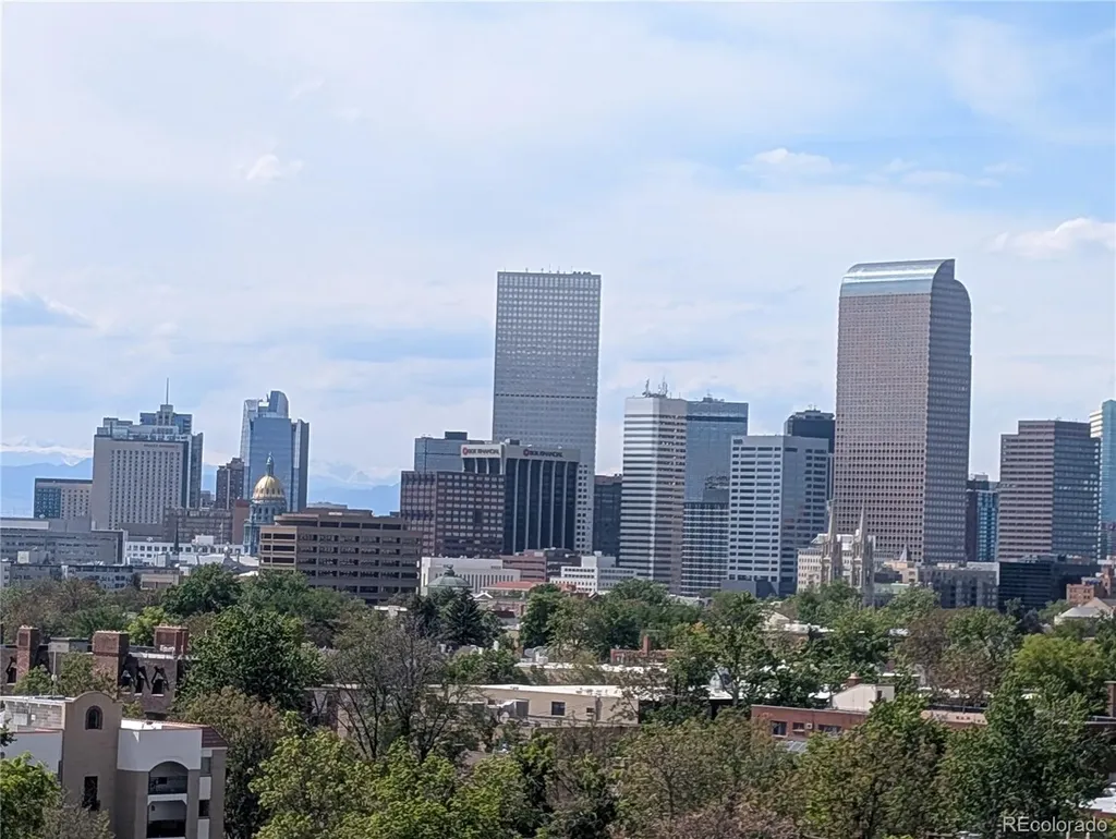 909 N Lafayette Street Denver CO 80218