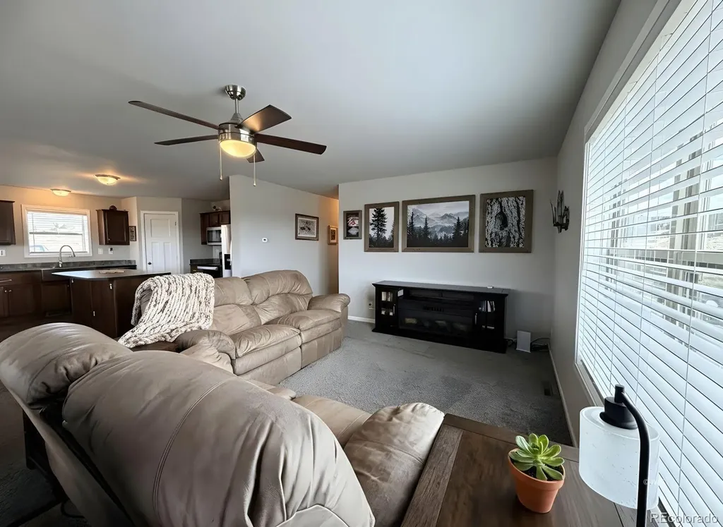 296 Arapahoe Circle Westcliffe CO 81252