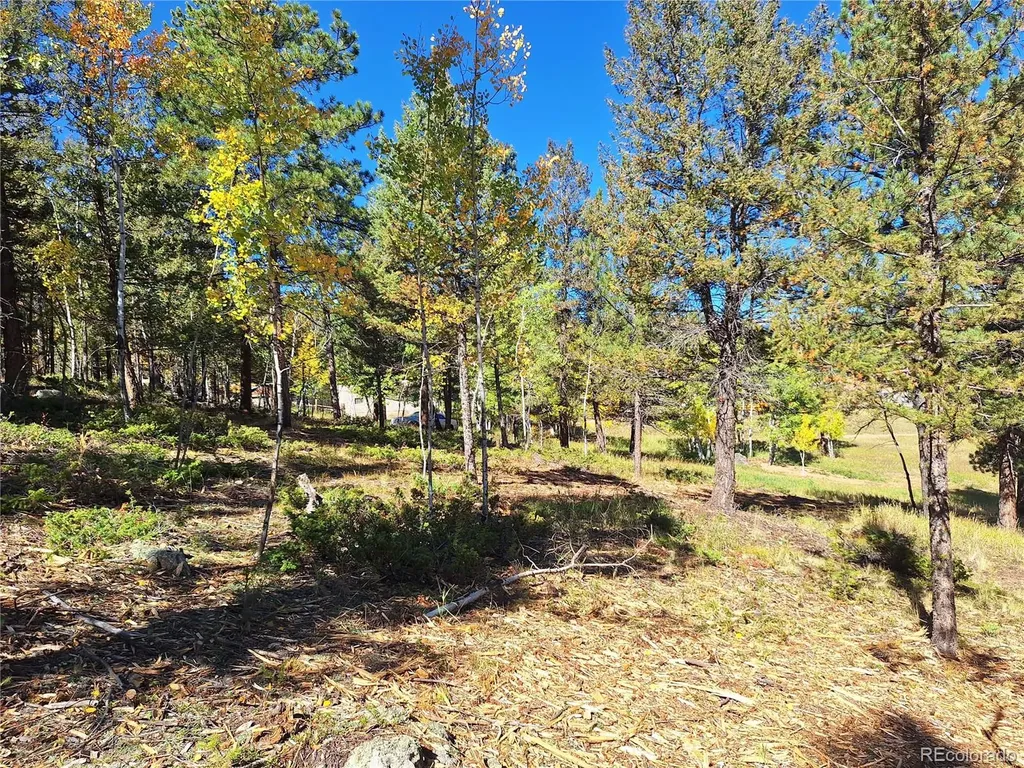 1504 County Road 43 Bailey CO 80421