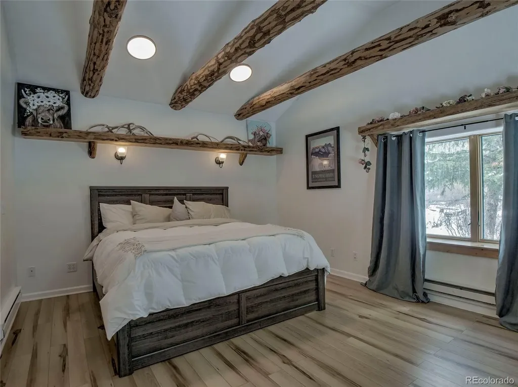 46 Singleton Road Alma CO 80420