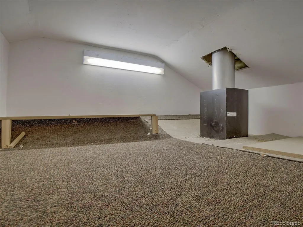 46 Singleton Road Alma CO 80420