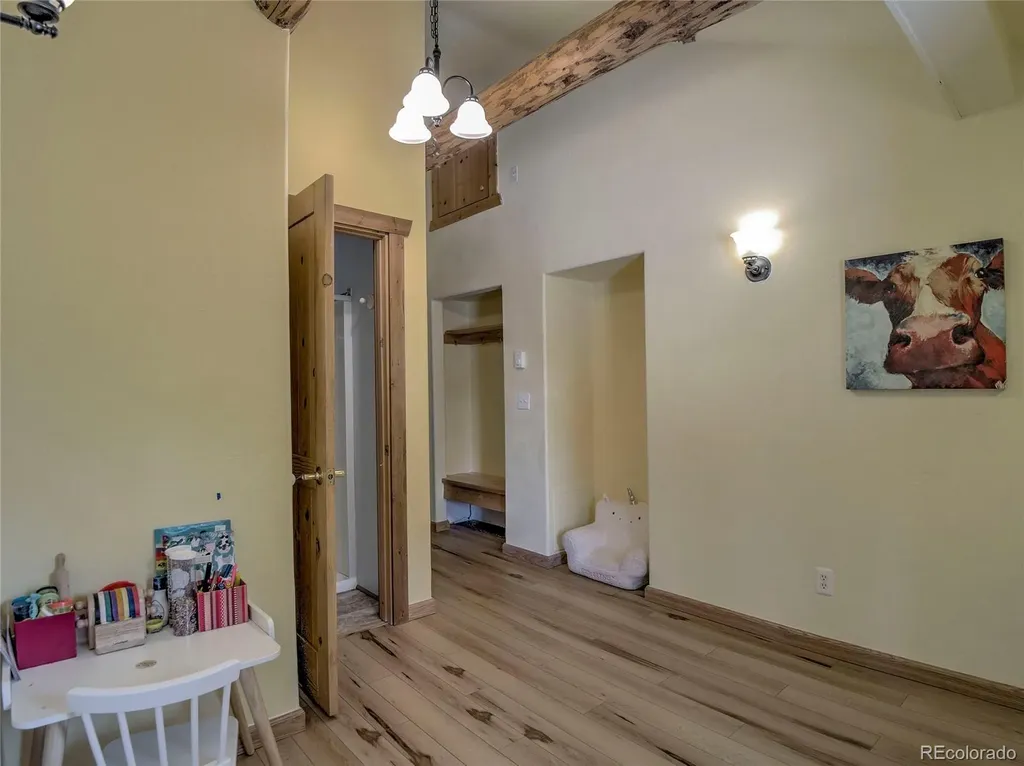 46 Singleton Road Alma CO 80420