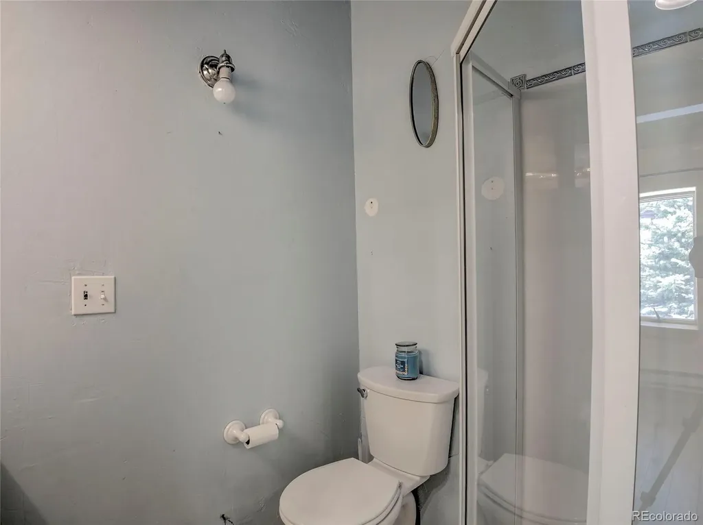 46 Singleton Road Alma CO 80420