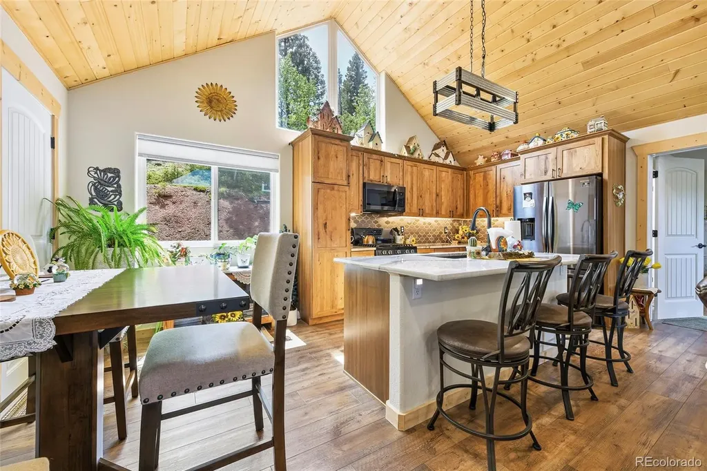 100 Wildcat Creek Drive Florissant CO 80816