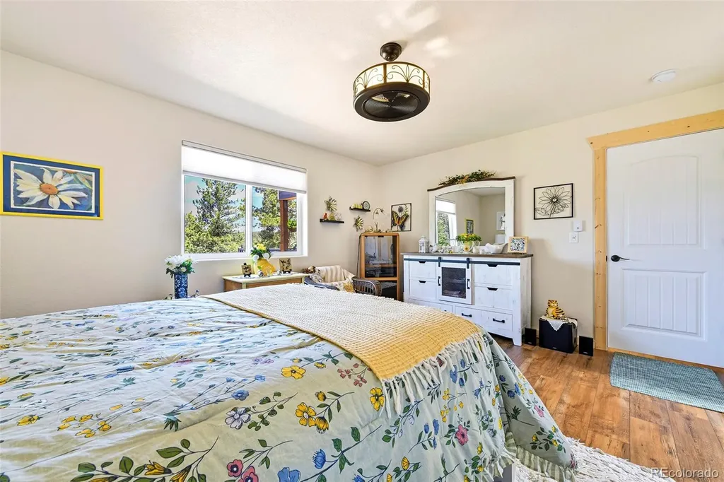 100 Wildcat Creek Drive Florissant CO 80816