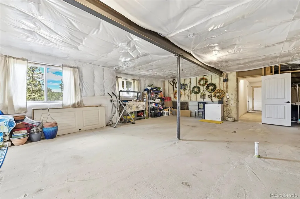100 Wildcat Creek Drive Florissant CO 80816