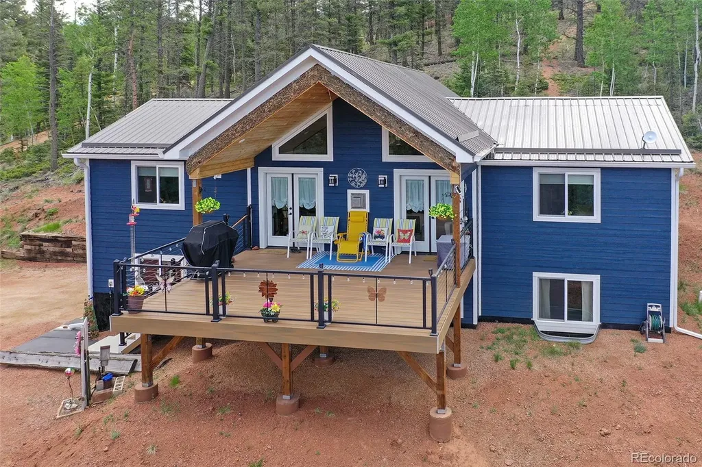 100 Wildcat Creek Drive Florissant CO 80816