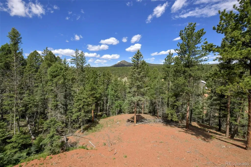 100 Wildcat Creek Drive Florissant CO 80816