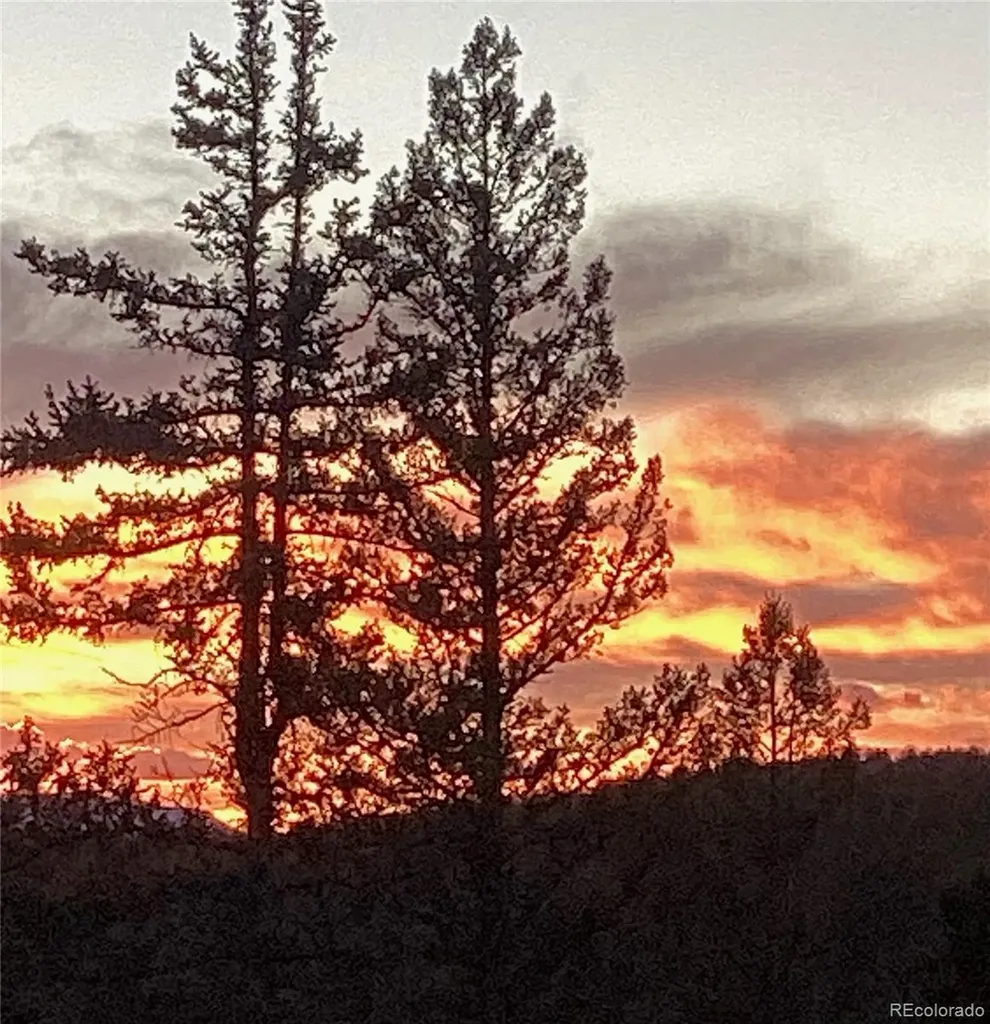 100 Wildcat Creek Drive Florissant CO 80816