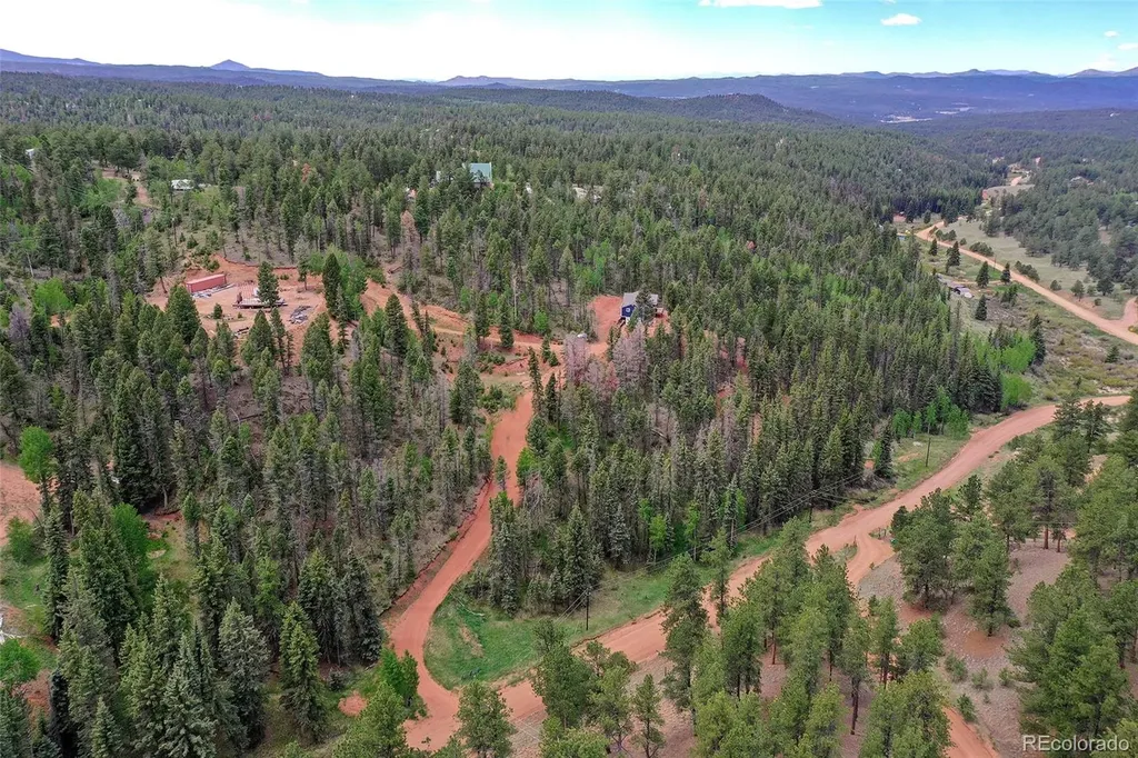 100 Wildcat Creek Drive Florissant CO 80816