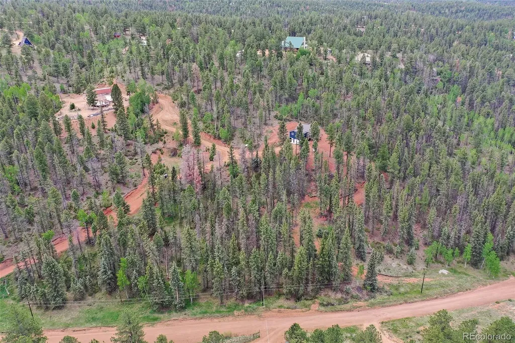 100 Wildcat Creek Drive Florissant CO 80816