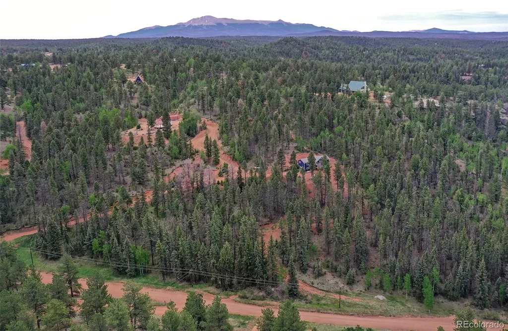 100 Wildcat Creek Drive Florissant CO 80816