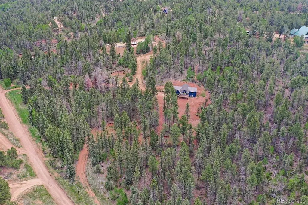 100 Wildcat Creek Drive Florissant CO 80816