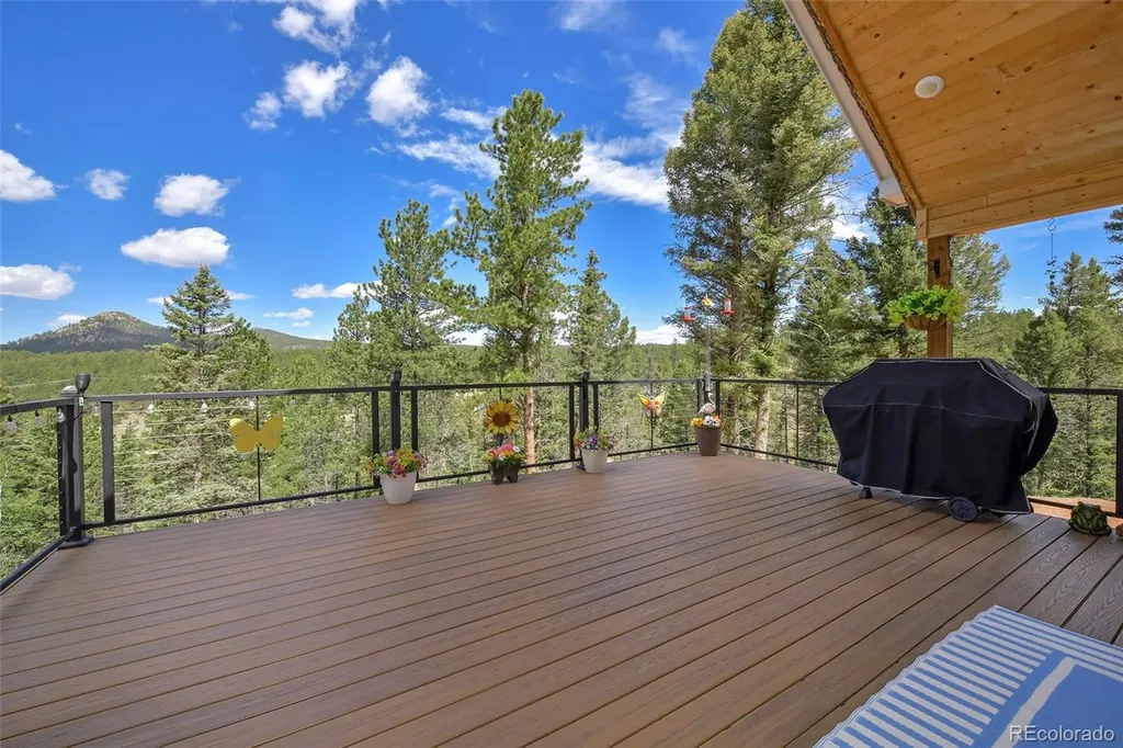 100 Wildcat Creek Drive Florissant CO 80816